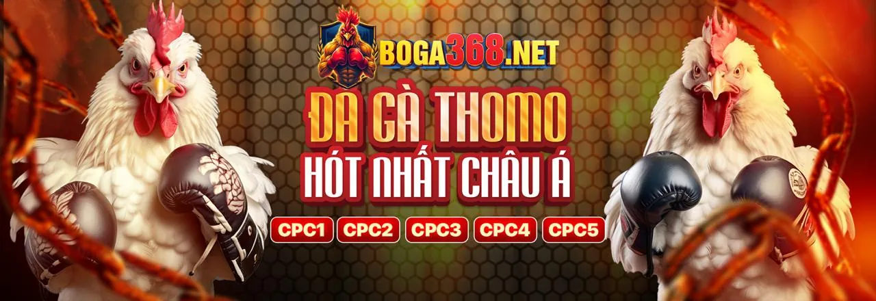 Đá gà trực tuyến CF68 Code